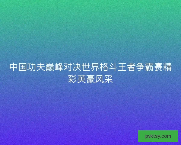 中国功夫巅峰对决世界格斗王者争霸赛精彩英豪风采